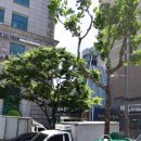 민들레헤어갤러리 | 브라이드밸리 양재 단독홀 셀프 웨딩홀투어 및 상담 후기
