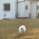 고운우리약국 이미지