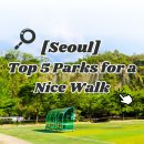 테마21 | 서울 중랑구 강아지랑 가기 좋은 공원 TOP 5! 댕댕이와 인생샷 찍으러 가자!