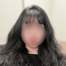 보떼대전