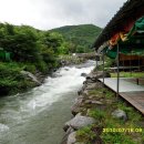 다래산장 - 남해군 | 다래산장