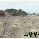 지푸라기농장 이미지