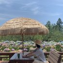 제주2일차🏝(머큐어엠버서더/수우동/칠돈가/휴애리)