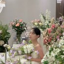 개땡큐 | 결혼식 아이폰스냅 내돈내산 스냅연작 비용 땡큐카드