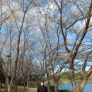 OK경기공인중개사사무소 이미지