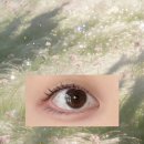 어나더뮤즈