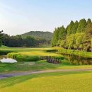 현충원로(유성-18) 이미지