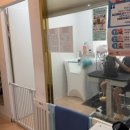 러블리독스 이미지