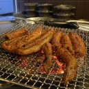 곰장어와아나고 이미지