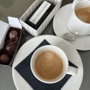 BOXING DAY | 호주 시드니 여행 3일차 : 박싱데이(Boxing day) 그리고 소피텔 시드니 달링하버 1박 후기