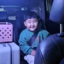 무주구천동캠핑장제제캠프 이미지
