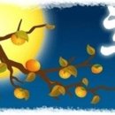 신대생생한의원 이미지