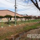 지정농장 이미지