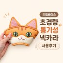 카라 | [냥이용품] 고양이 넥카라 추천 드림베이스 초경량 통기성 넥카라 사용후기
