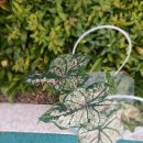 닮아가다 이미지