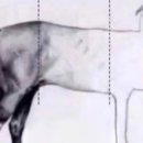 [제과제빵기능사 실기] 제과기능사 이미지