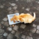 물레방아휴게소매점 이미지