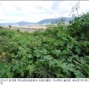 낙동강변 이미지