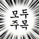 호주네이쳐스