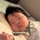 [육아템 리뷰] 노마드맘 리아의 추천 유기농 쁘리마쥬 오일