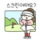리버스크린골프 이미지