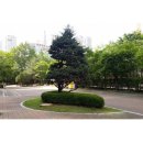 수지드림공인중개사사무소 이미지