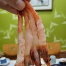 바다횟집 | 인천 대게 맛집 바다로횟집 다녀왔던 후기