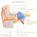 순천보청기