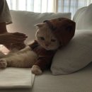 (주)개미창고 이미지