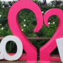 장미공원 주차장 입구 이미지