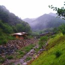 바람소리 이미지