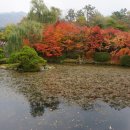 다온메디칼 이미지