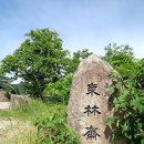심천요양원 | 팔공산둘레길9,10구간(제2석굴암~치산마을)종주로 전16개구간 완료(19.5.28.화)