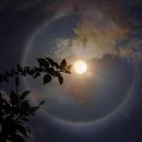 밤마실 네이버블로그