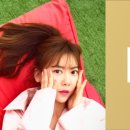 봄이네 애견 이미지