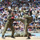 코리아 특공무술 이미지