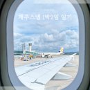 W04 제주웨딩스냅 1박2일 원정기 궁금하지