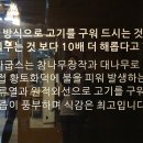 다굽스 네이버블로그