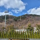 녹산 | 명지 파스타 스테이크 맛집 다이닝숲 명지녹산점 내돈내산 후기