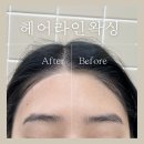저미브로우바