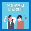 주식회사 스콜 이미지
