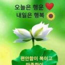 구십구쩜구