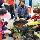 원예힐링교실 이미지