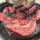 맘.S정육