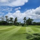 양곤하우스레스토랑 이미지