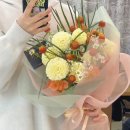 자네뜨 이미지
