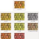 제일안경 이미지