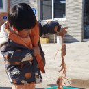 순양호영덕대게직판장 이미지