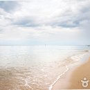 루소호텔 이미지