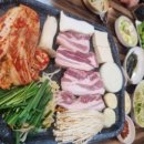 돈 돼 지 네이버블로그